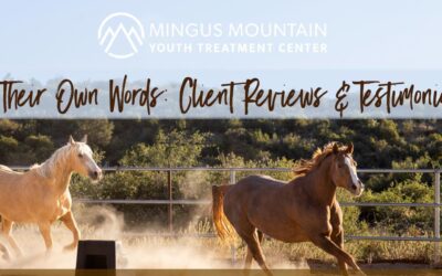 In their own words: What our clients and families are saying